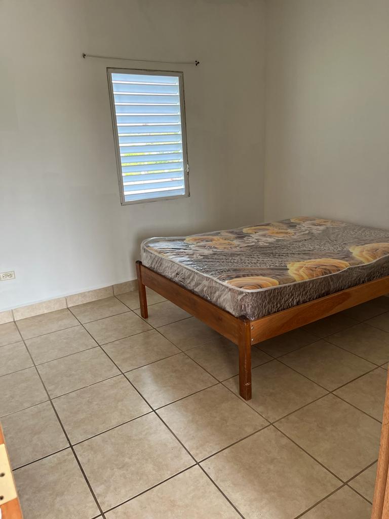 Racoon Apartments gallery 2