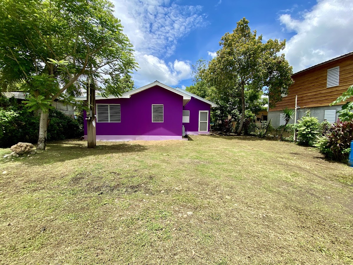 Purple House Apartment cover