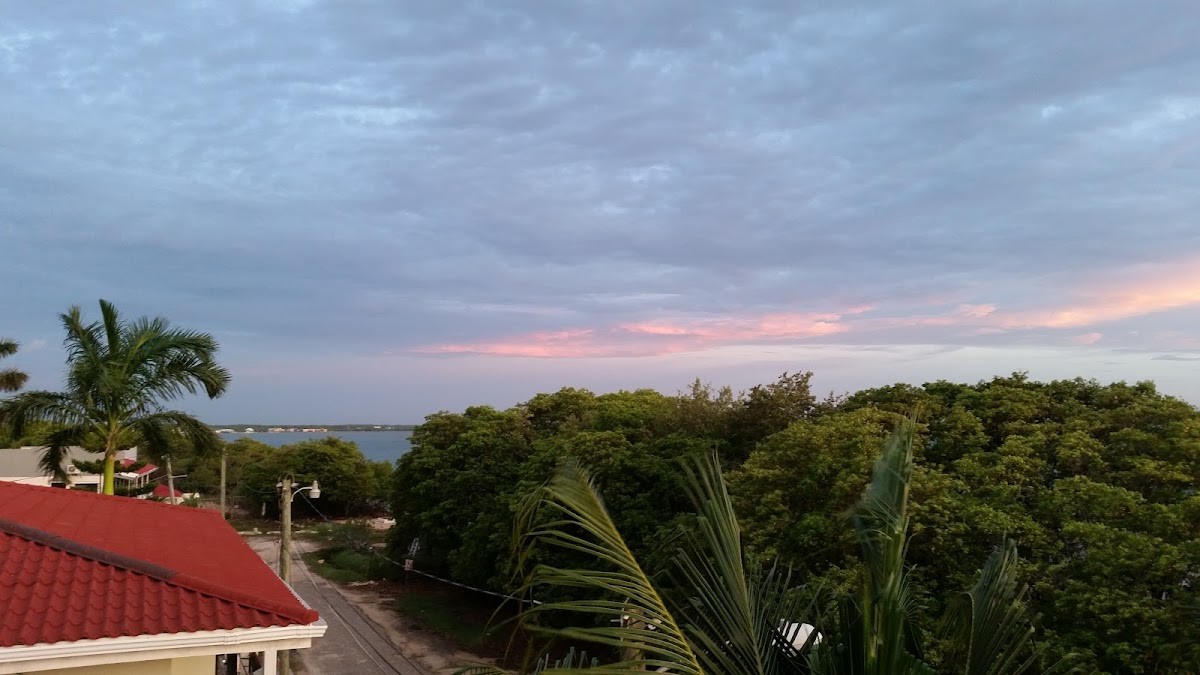 Bachelor Inn Hotel gallery 7