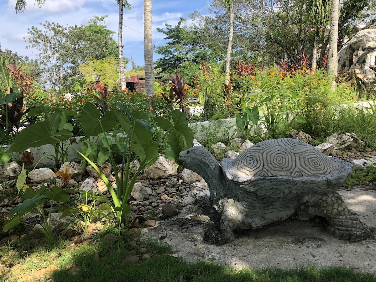 Joyce Garden Hotel gallery 9