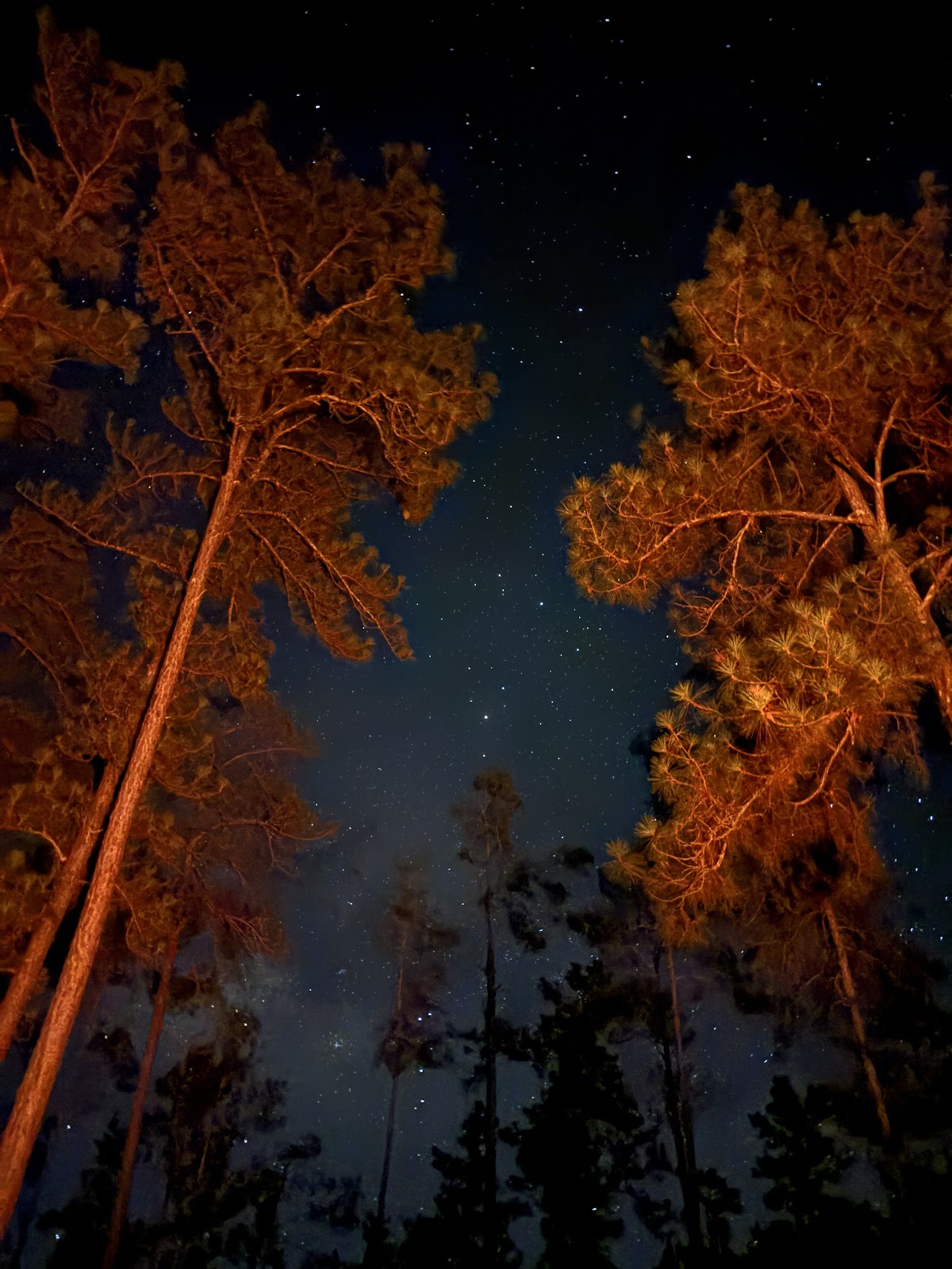 San Miguel Campgrounds gallery 10