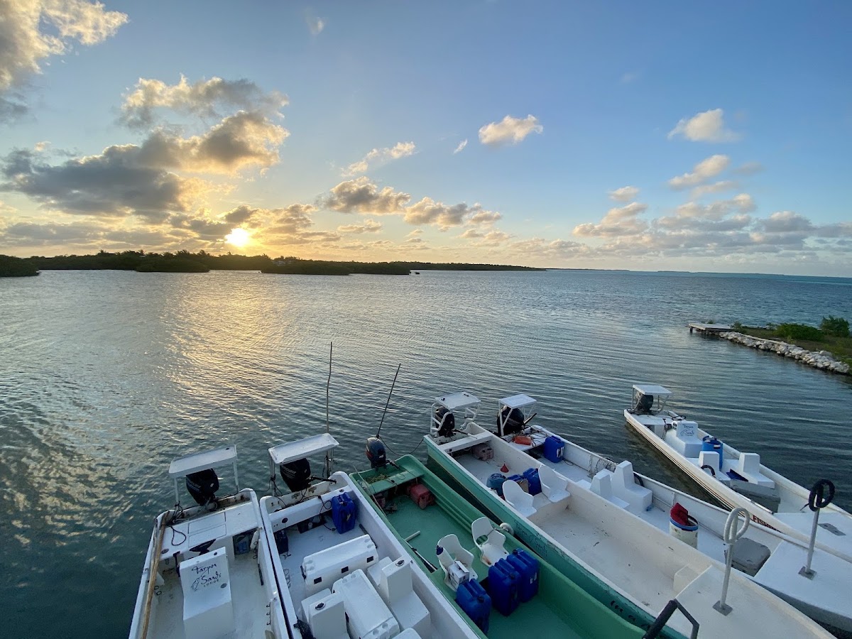 Tarpon Sands gallery 10