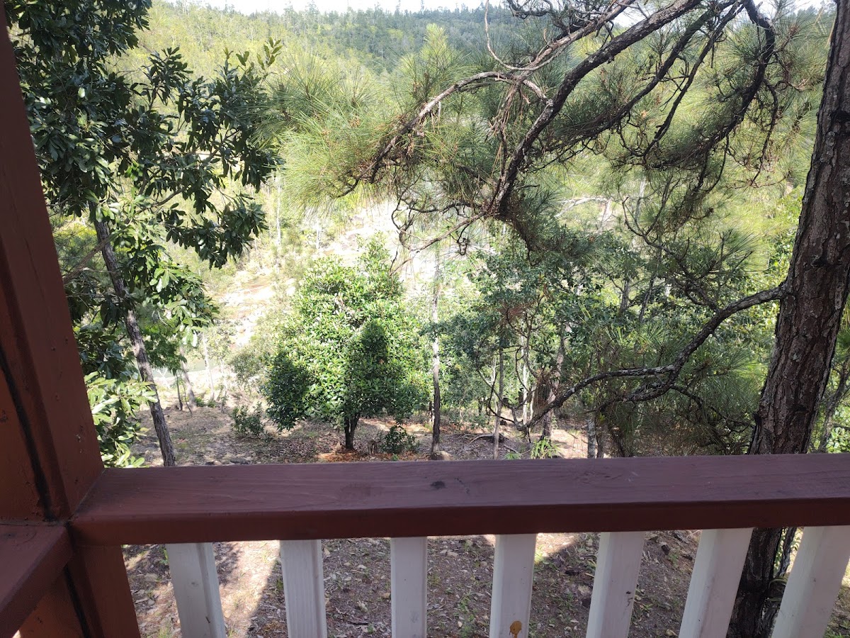 Reimer Cabins gallery 8