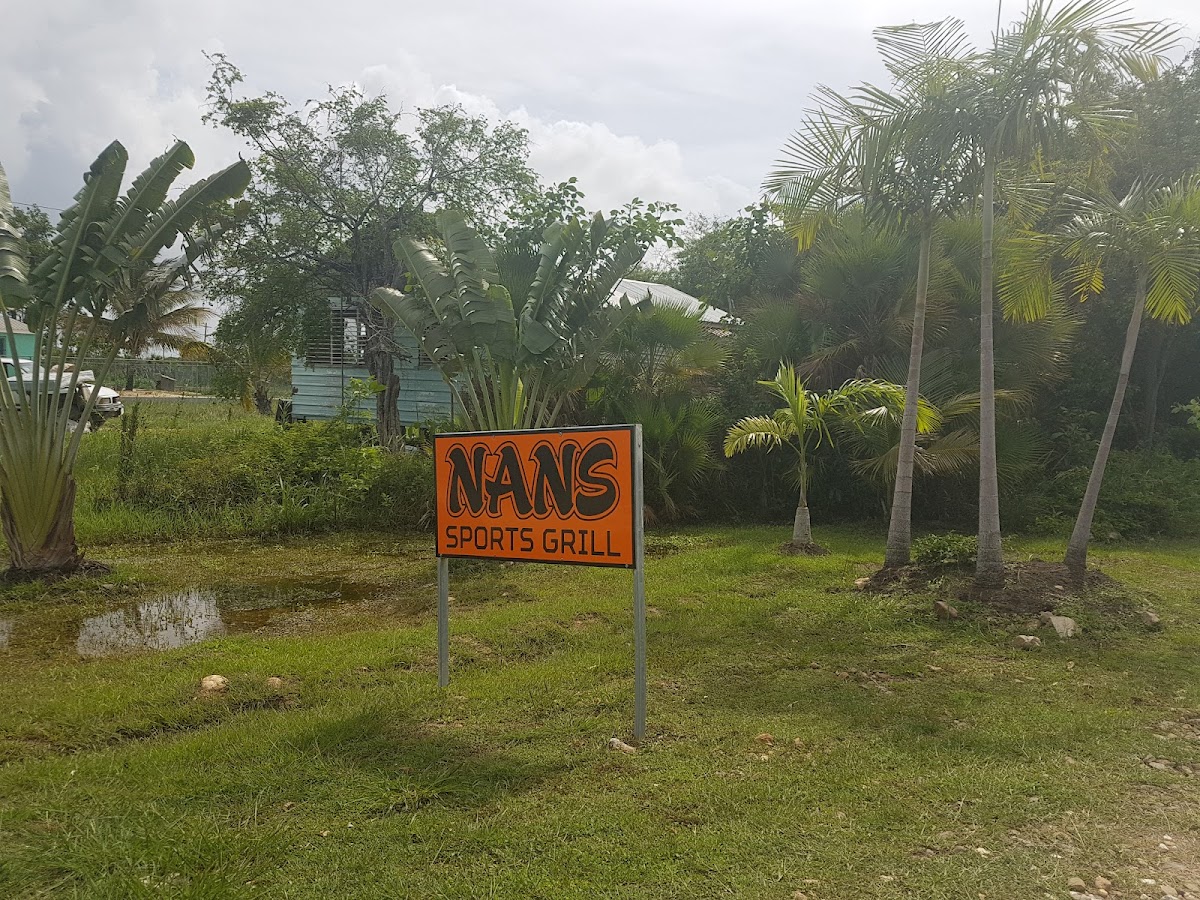 Nans gallery 10