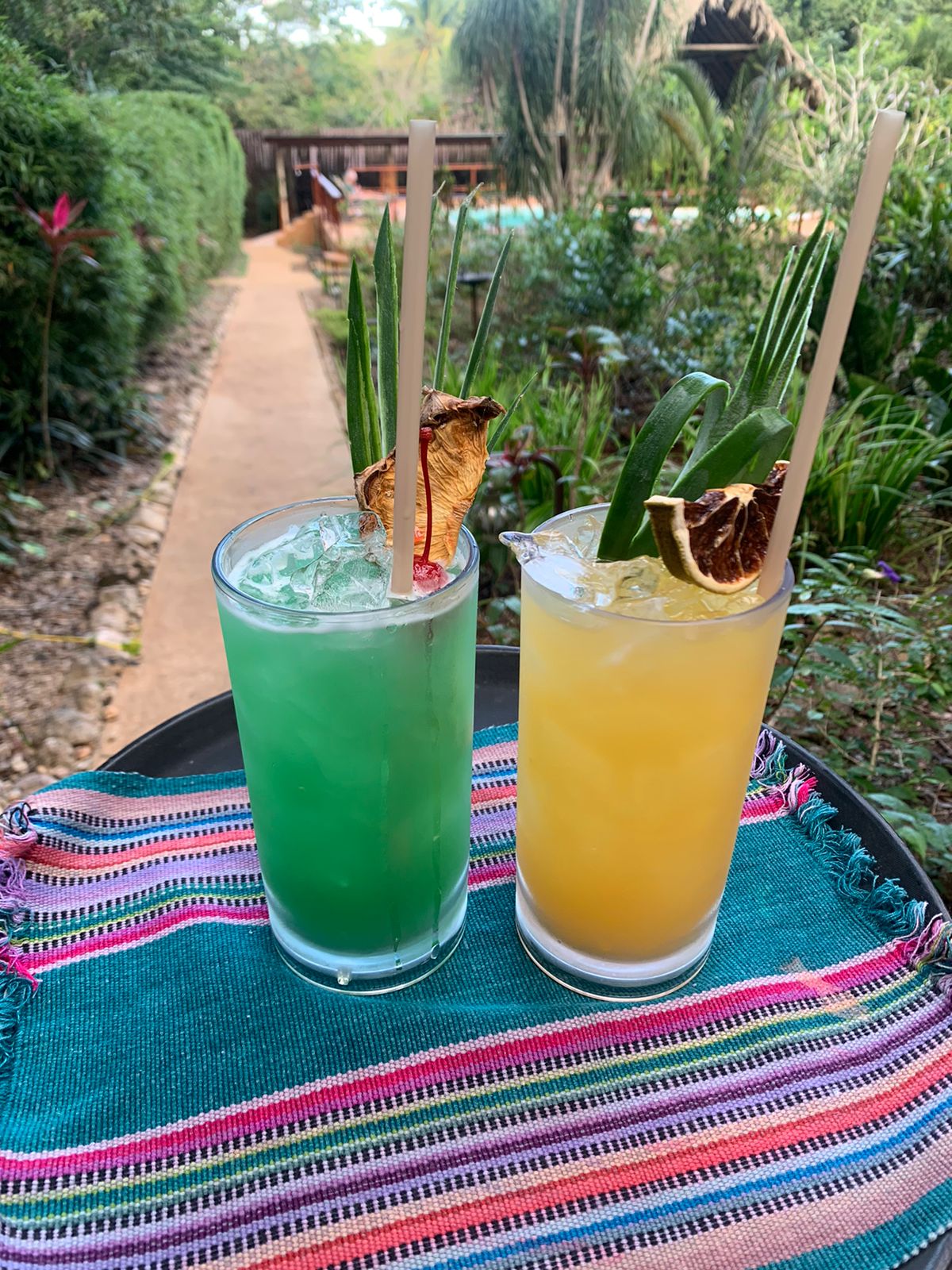 Mariposa Jungle Lodge gallery 9