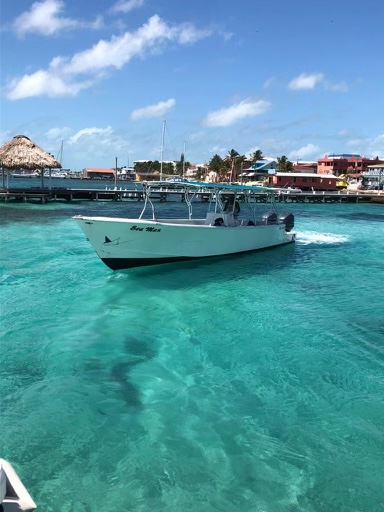 Sergio’s Shuttle Transfers and Van Rentals gallery 4