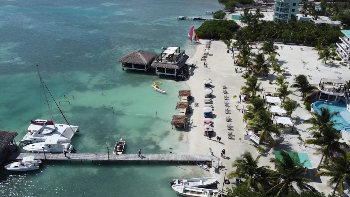 Omega Real Estate Belize cover