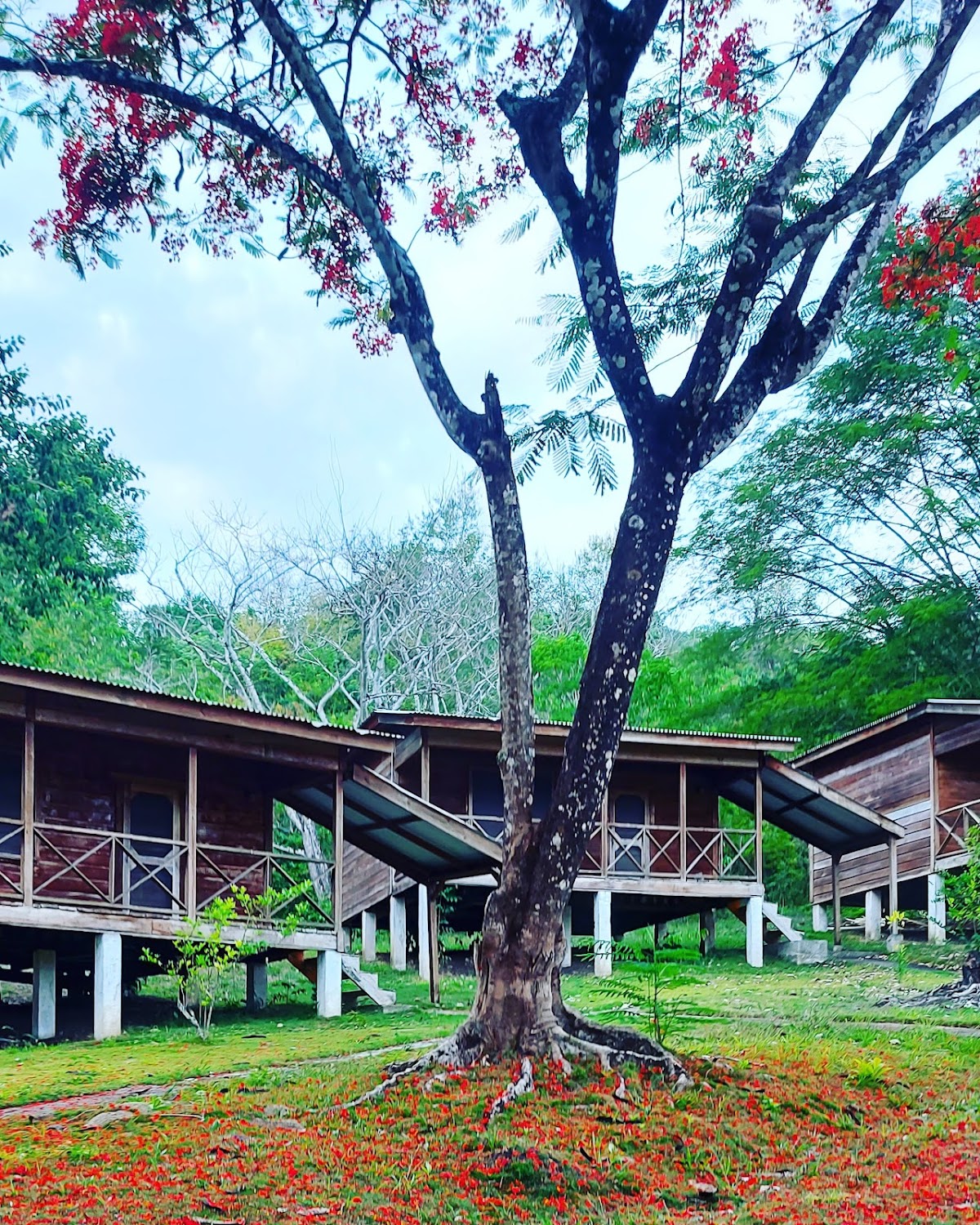 Las Cabañas Inn gallery 3