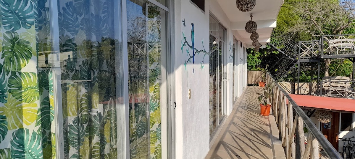 Casa de las Aves gallery 2