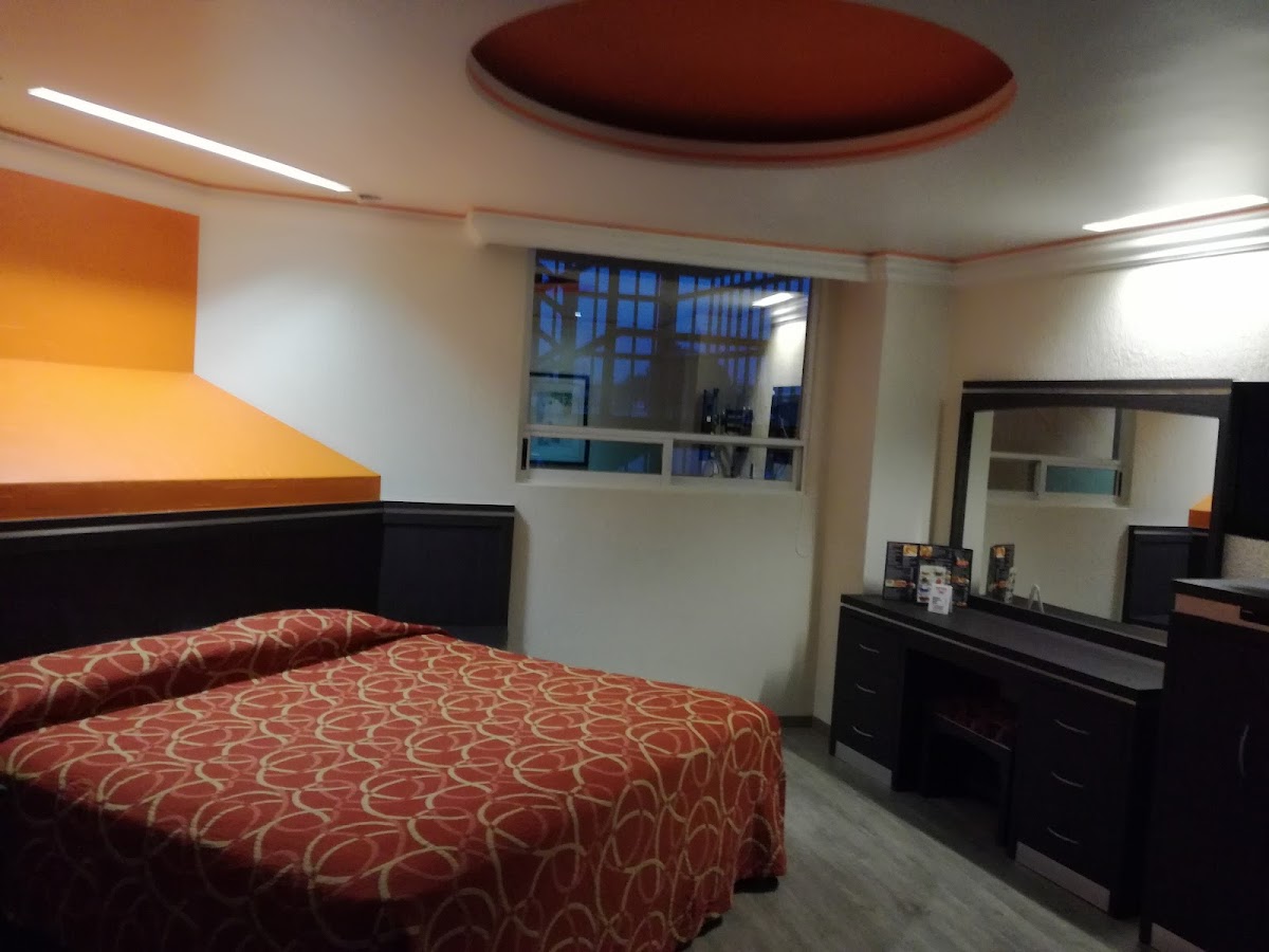 Hotelera Ambos Mundos, S.A. De C.V. gallery 10