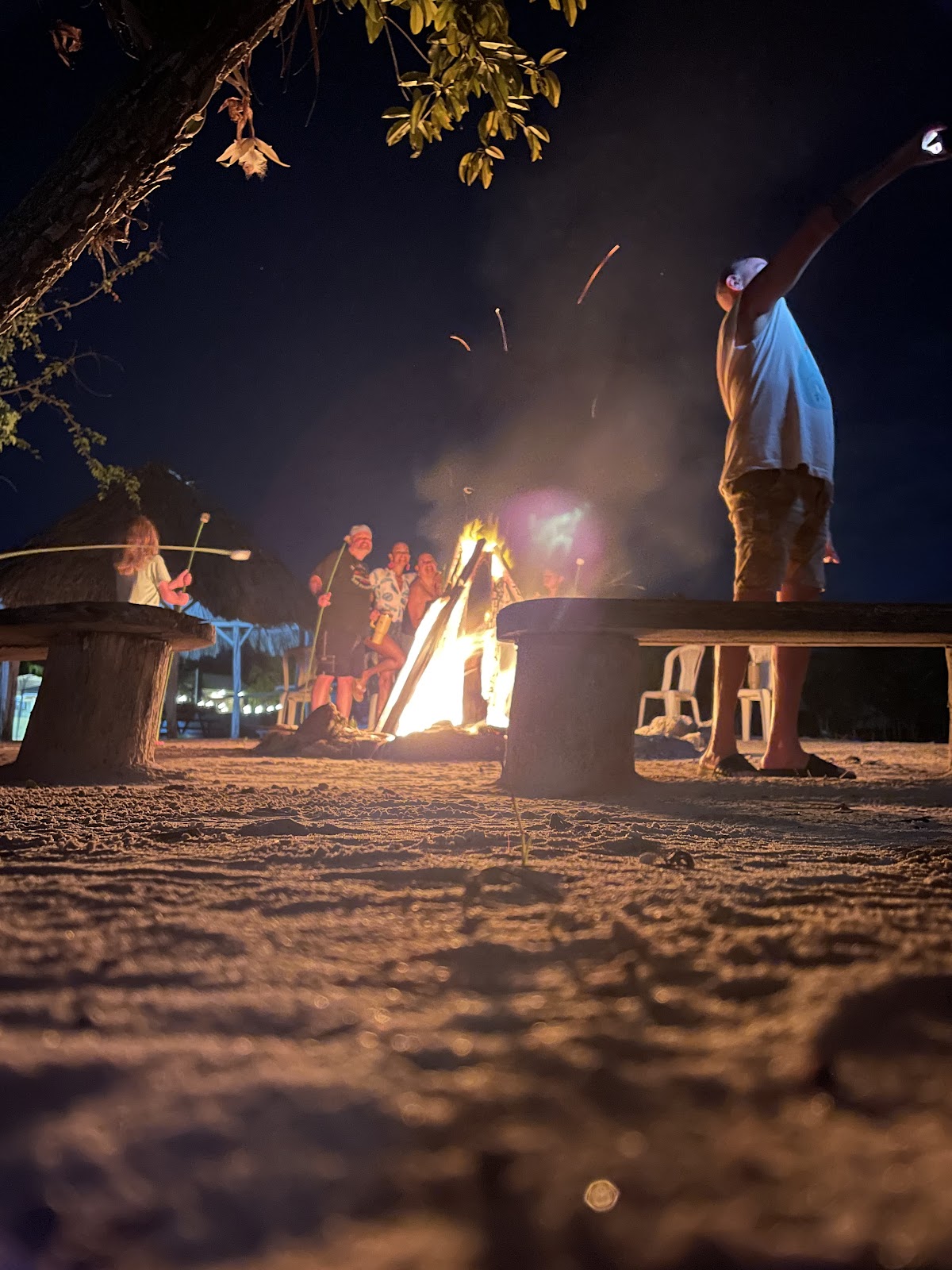 Scarlett Macaw Camping Site gallery 4