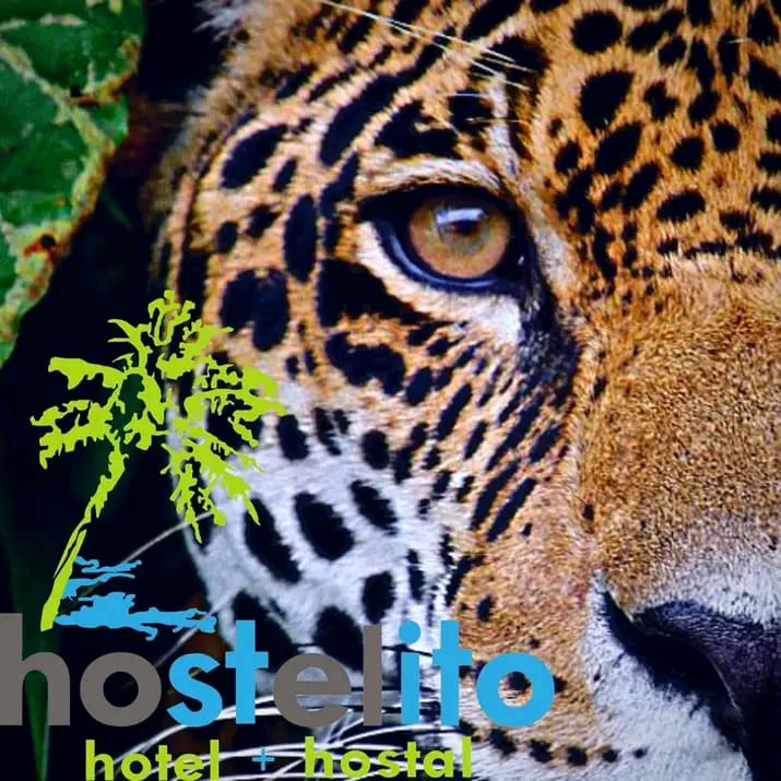 Hostelito Chetumal gallery 6