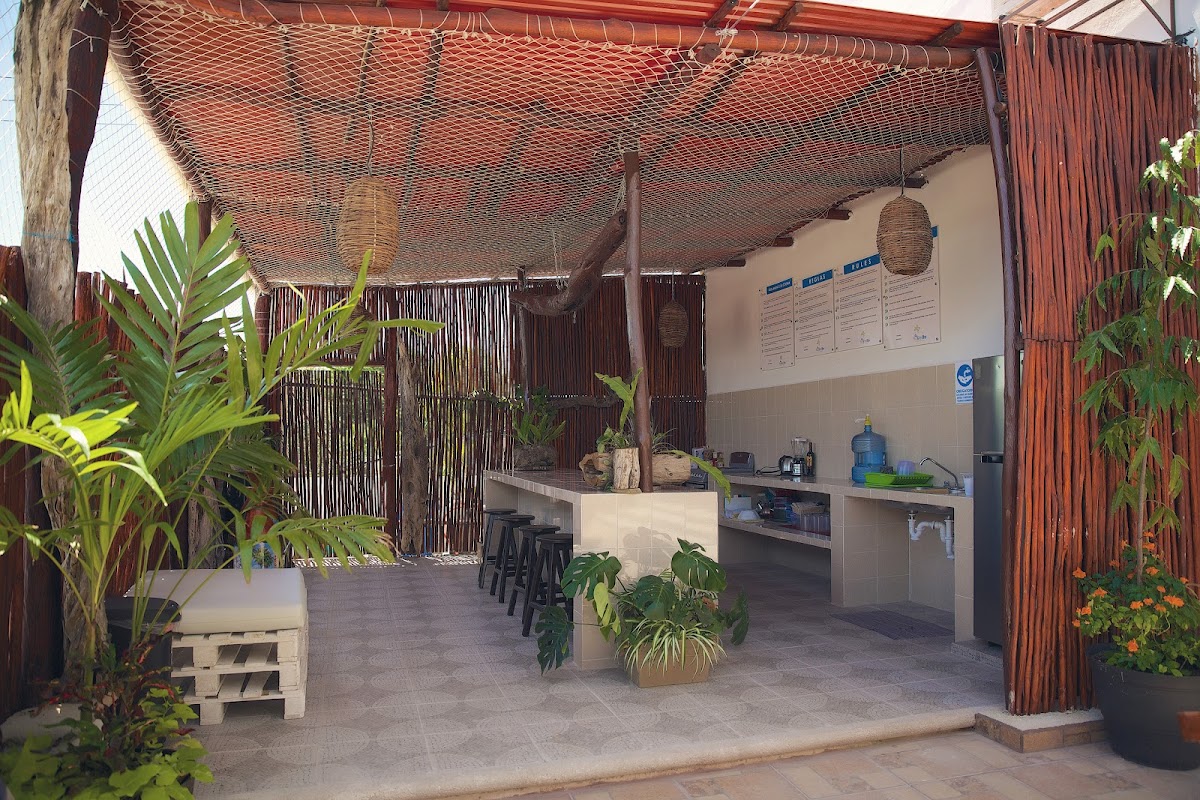 Hostelito Chetumal gallery 8