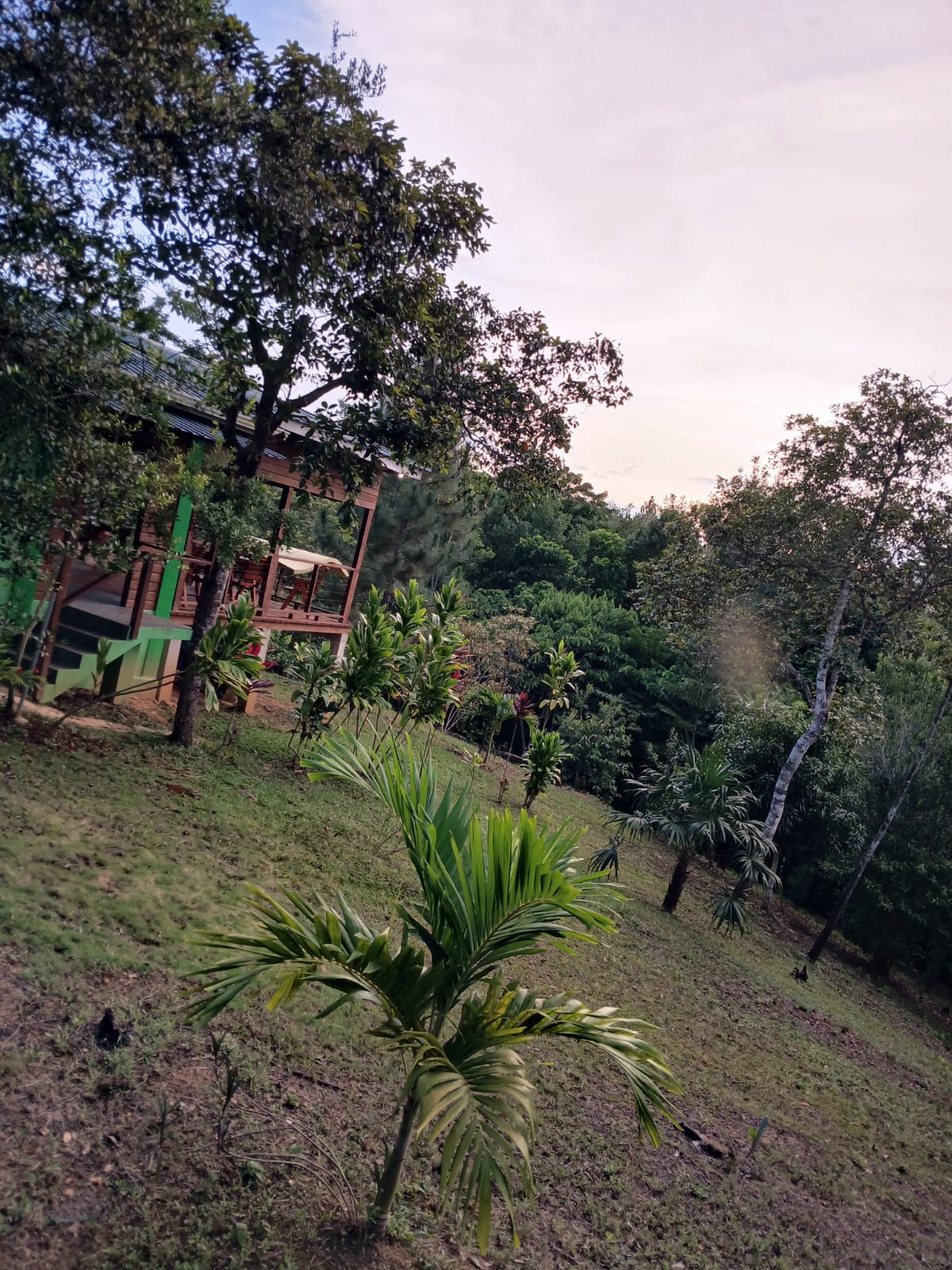 Secret Ravin Vacation Rental gallery 6