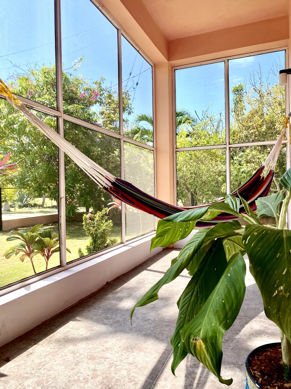 Rum Punch Realty gallery 4