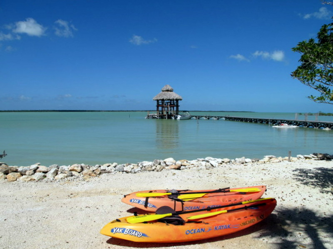 Orchid Bay gallery 4