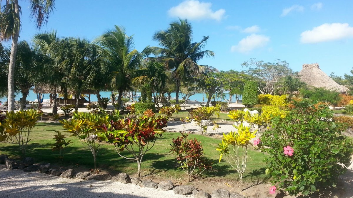 Orchid Bay gallery 6