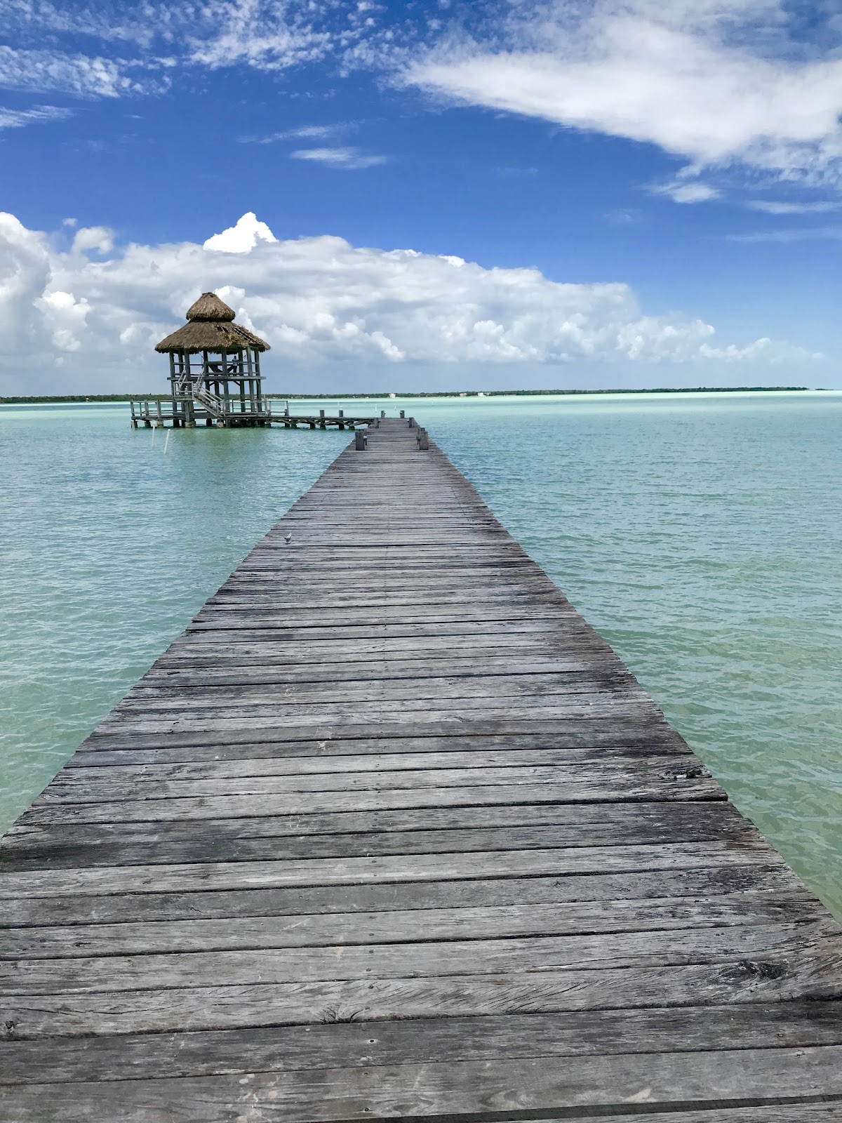 Orchid Bay gallery 8