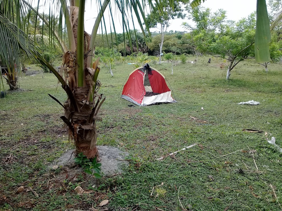 Mama Tina's Medicinal RV Campsite & Farm gallery 8