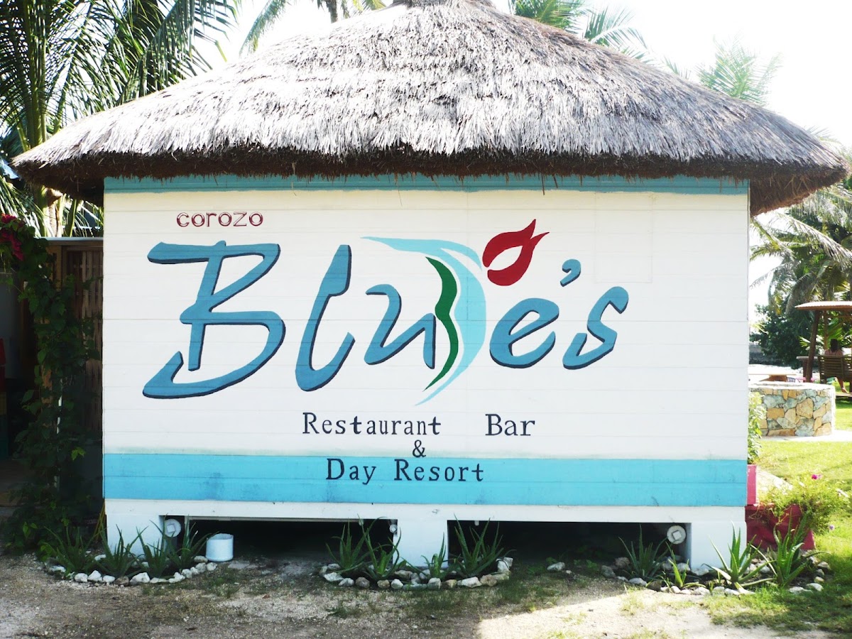 Corozo Blue's gallery 3
