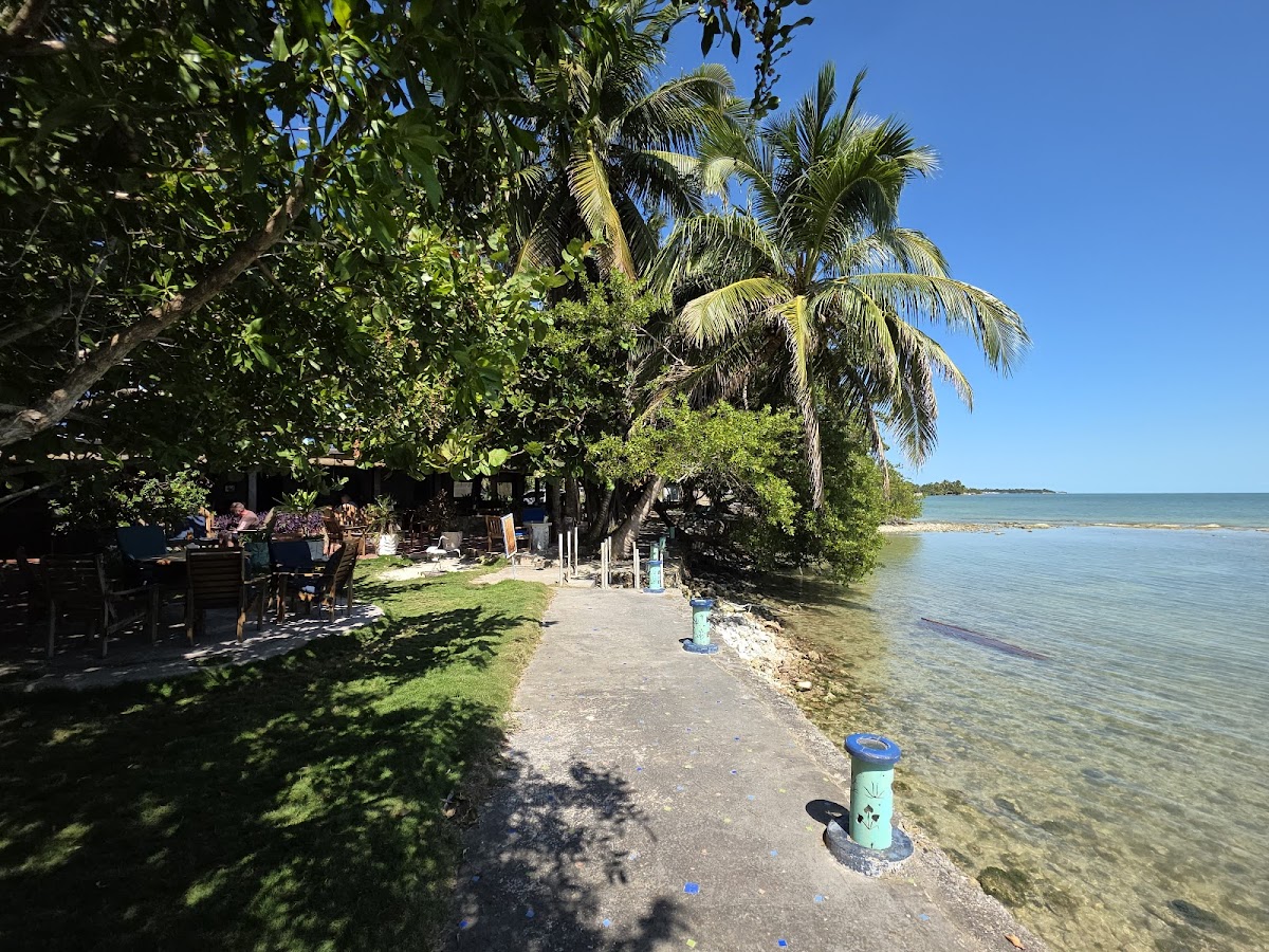 Corozo Blue's gallery 5