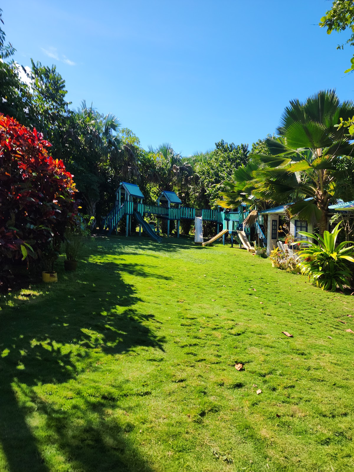 Corozo Blue's gallery 7