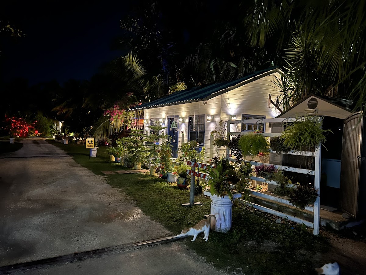 Corozo Blue's gallery 10