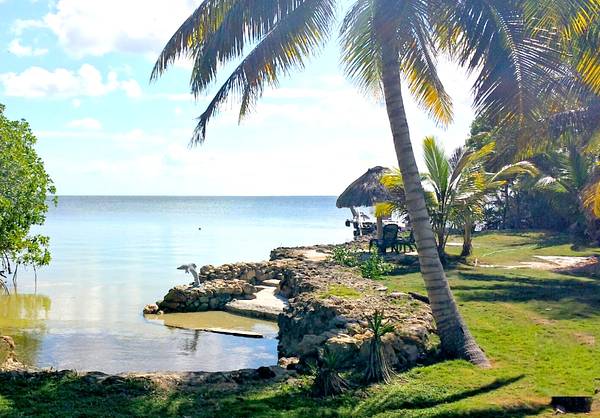 Consejo Shores Real Estate Agency gallery 3