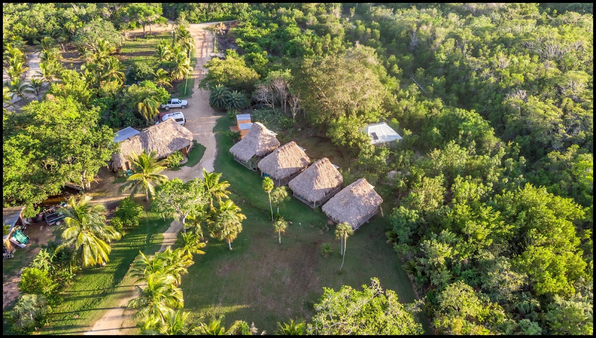 Cerros Real Estate cover