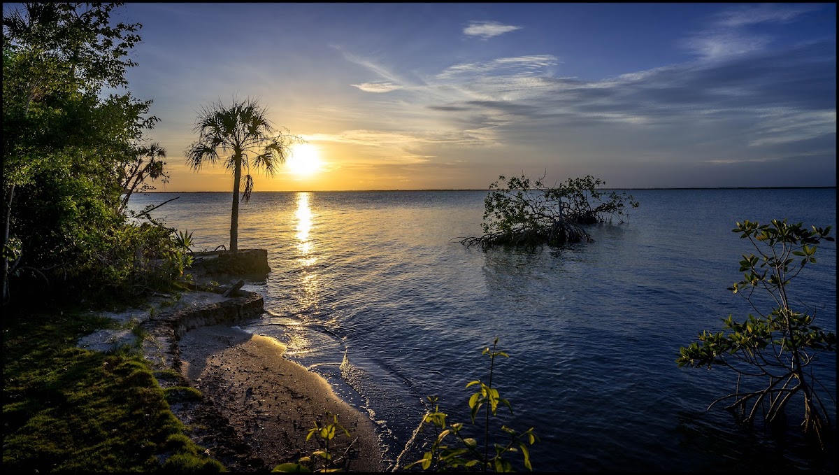 Cerros Real Estate gallery 3