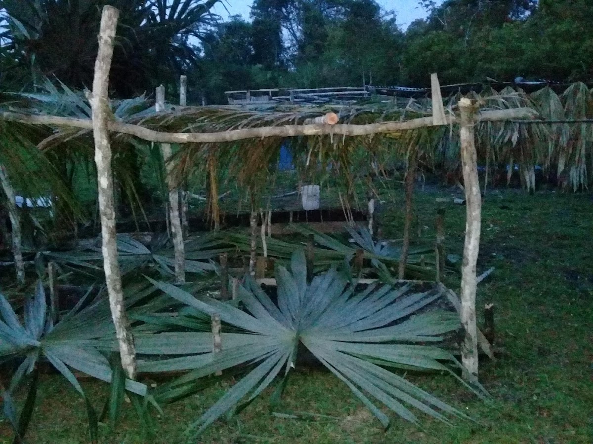 Mama Tina's Medicinal RV Campsite & Farm gallery 10