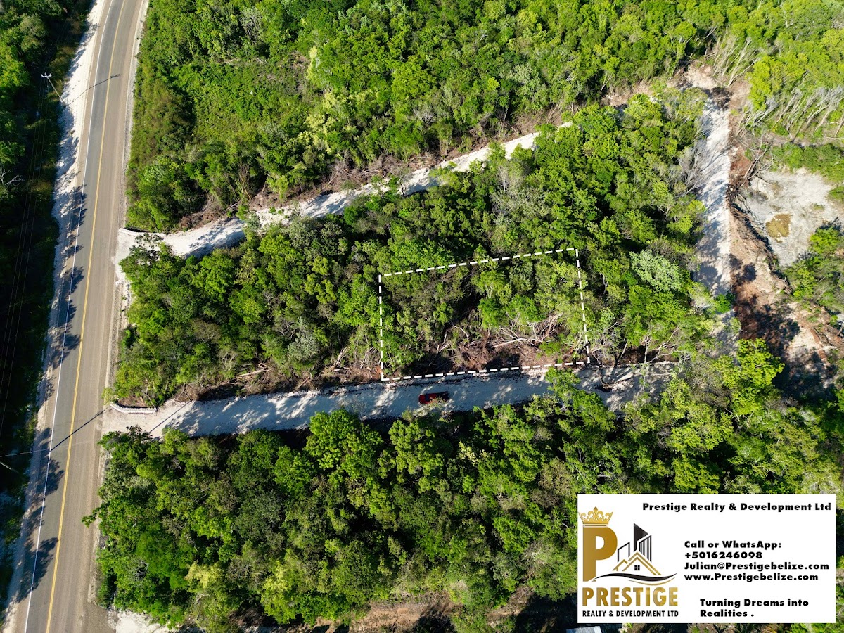 Prestige Realty & Development Ltd gallery 5