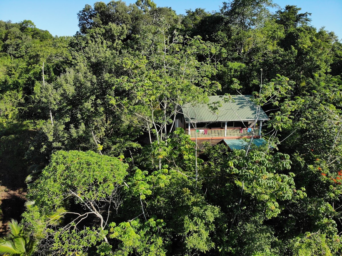 Checo Hill Guesthouse gallery 4