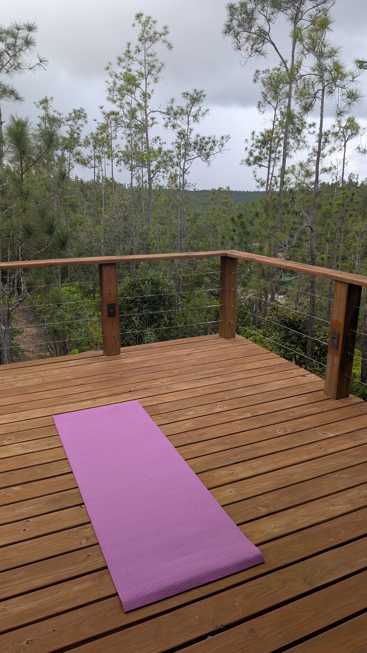 Pine Ridge Retreat Luxury Villa gallery 9