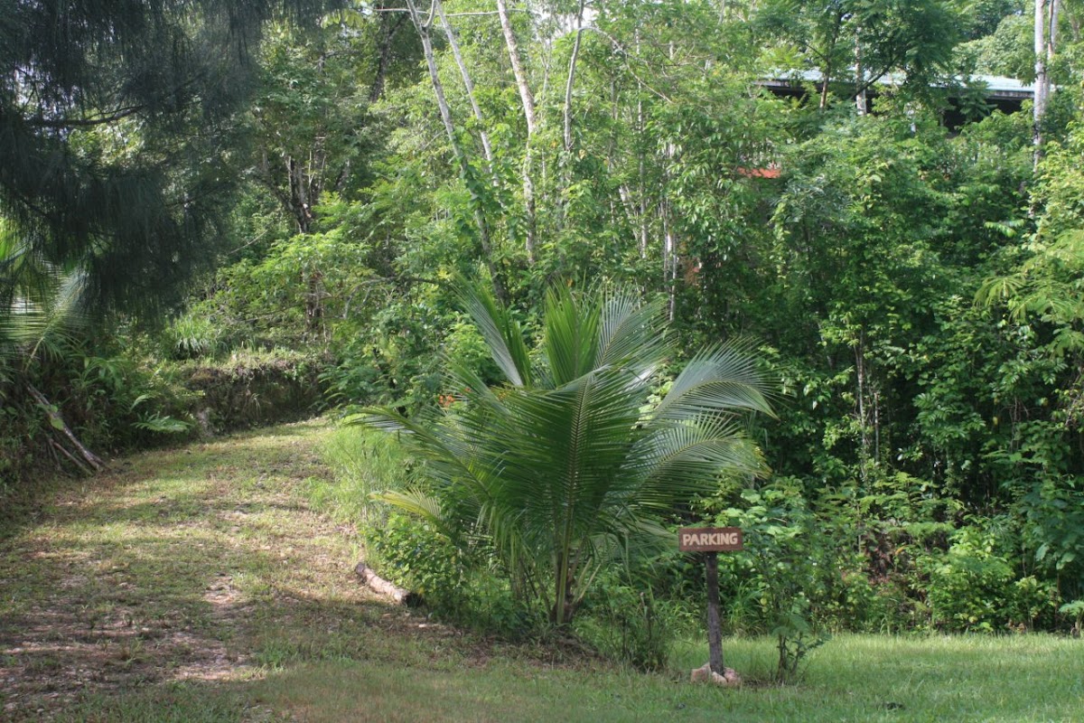 Checo Hill Guesthouse gallery 8
