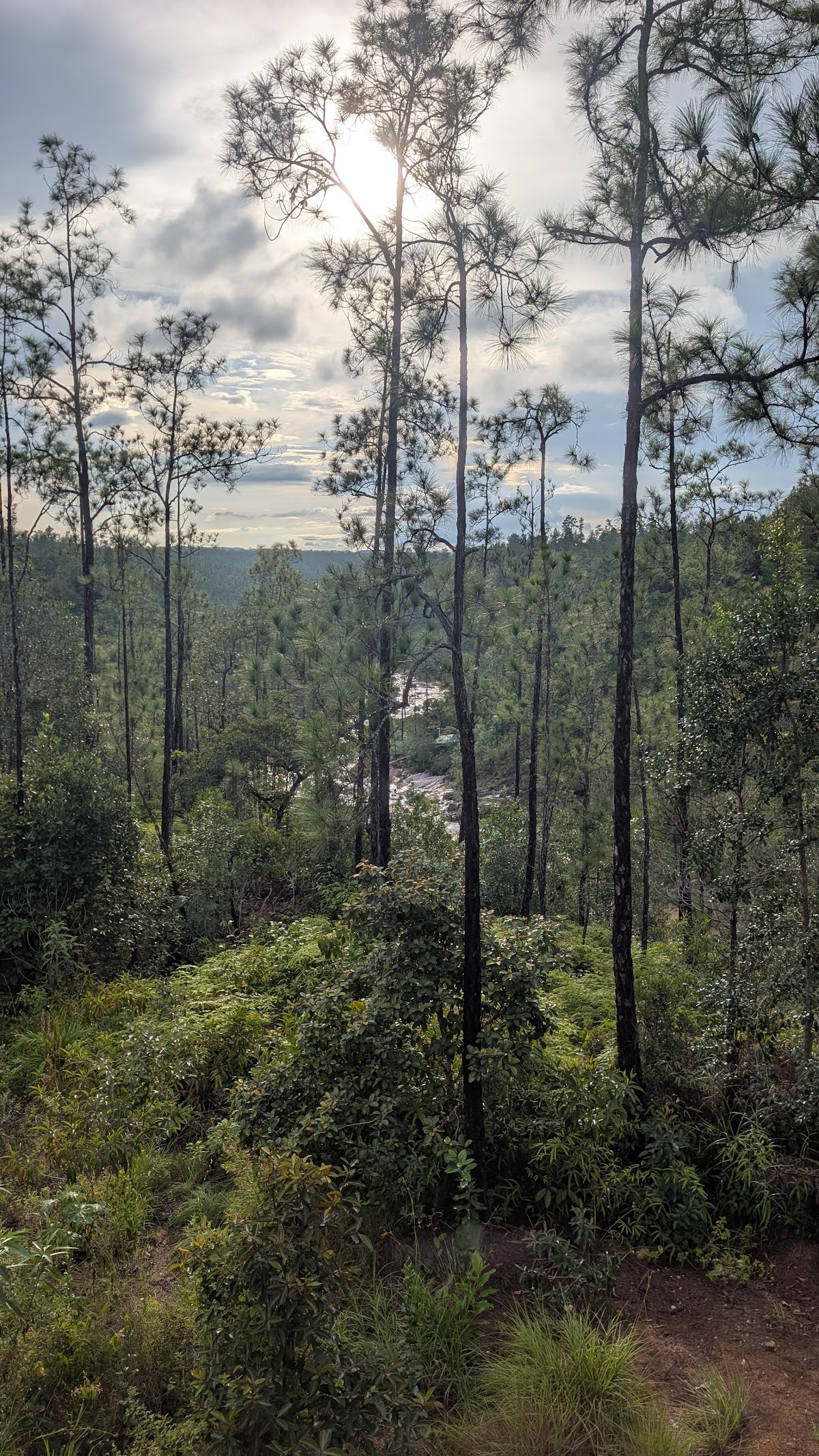 Pine Ridge Retreat Luxury Villa gallery 10