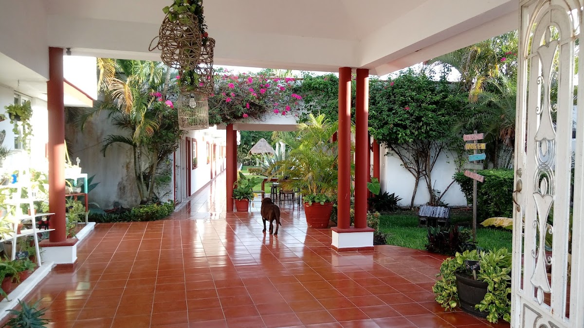 Hotel Lagoon gallery 5