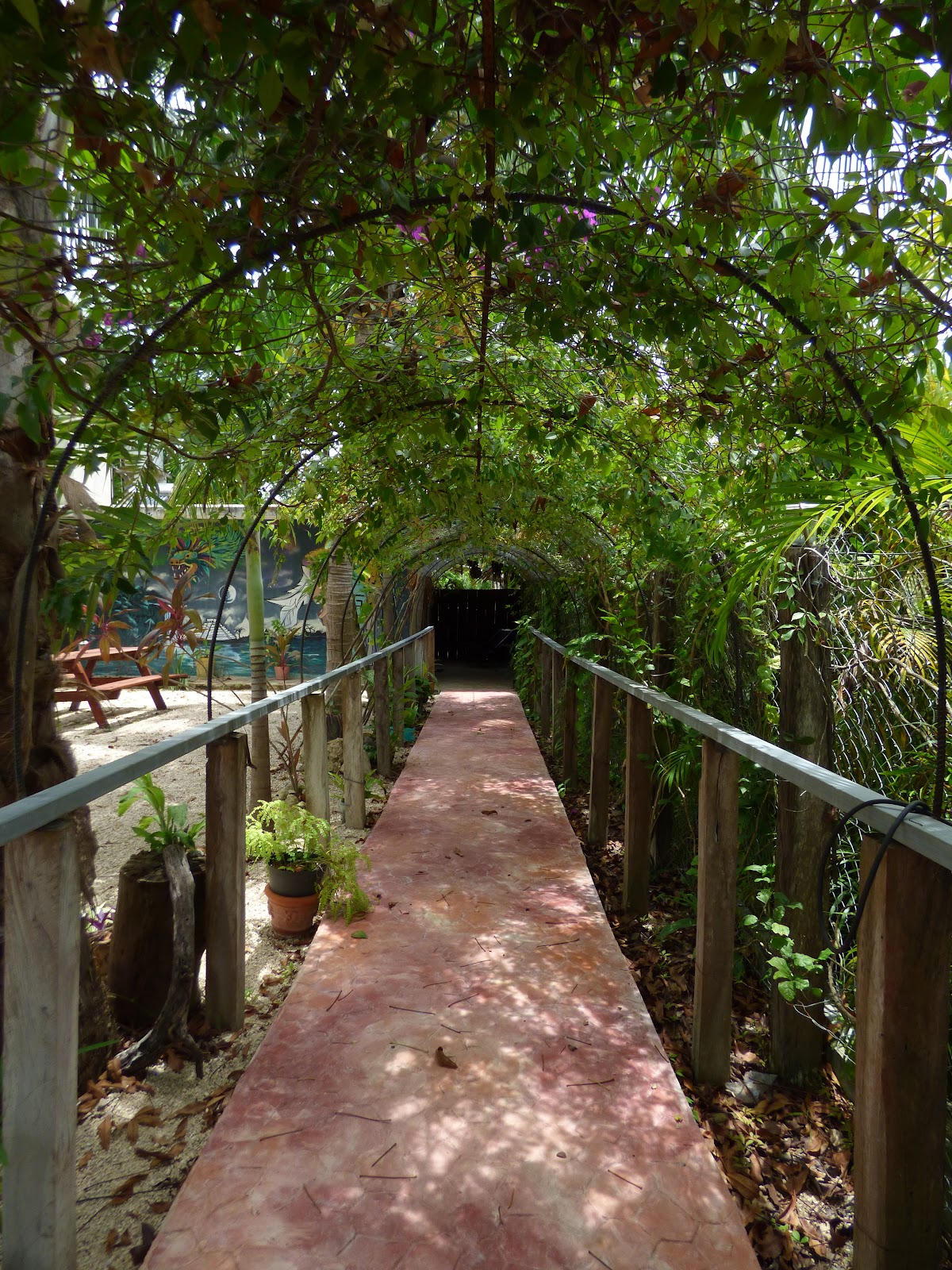 Hotel Posada Ixchel gallery 6