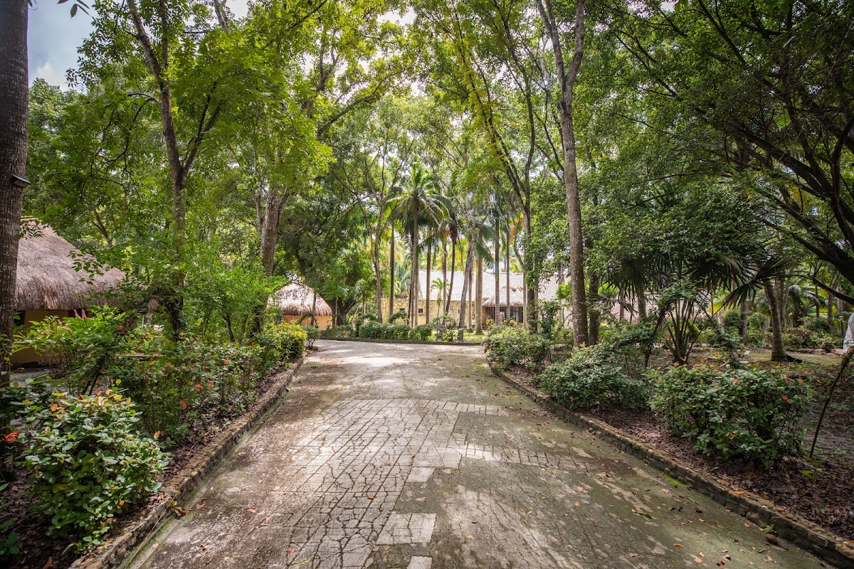 The Mayan Garden gallery 3