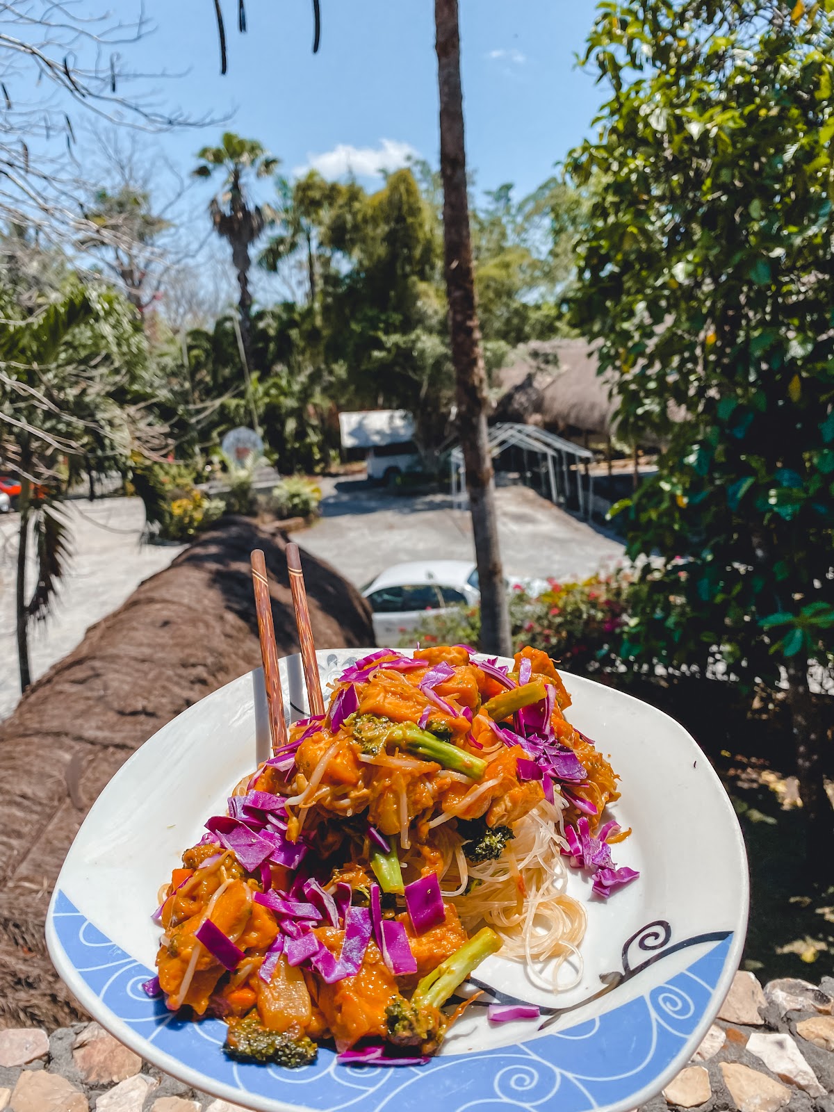 The Mayan Garden gallery 9