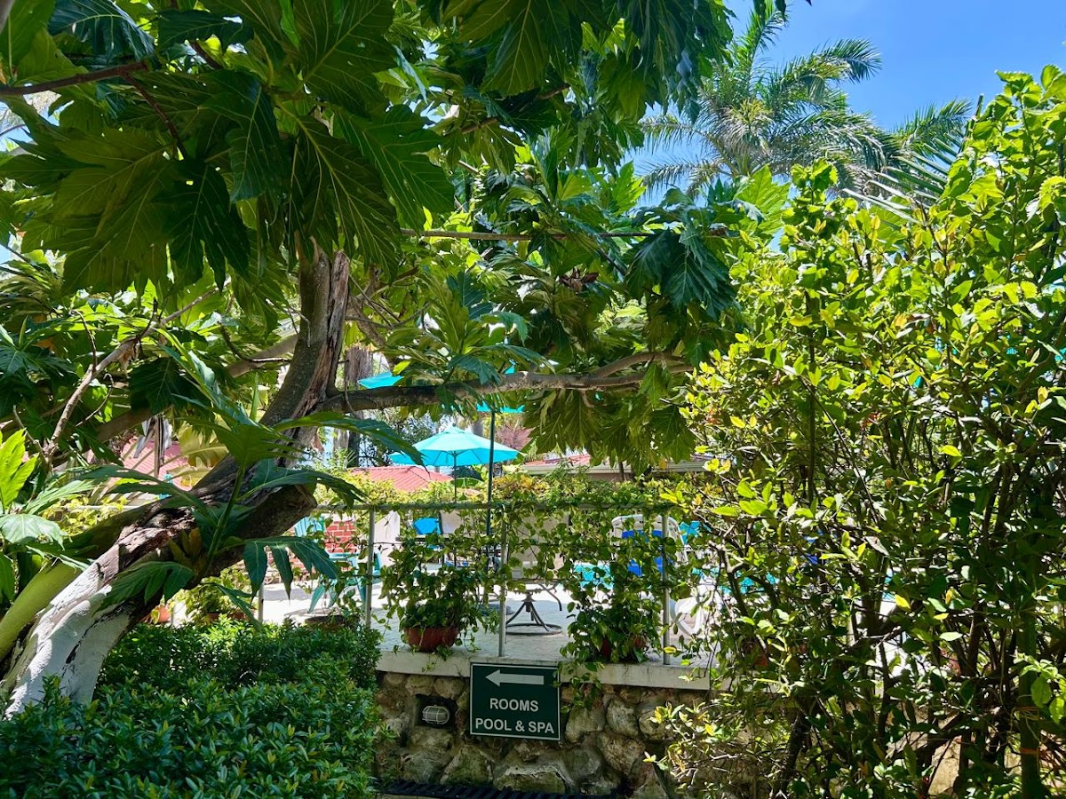 Harbour View Boutique Hotel &amp; Wellness Retreat gallery 7