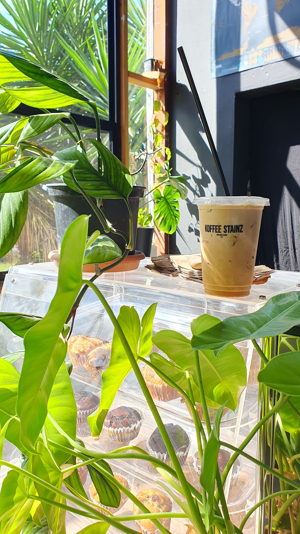Koffee Stainz gallery 7
