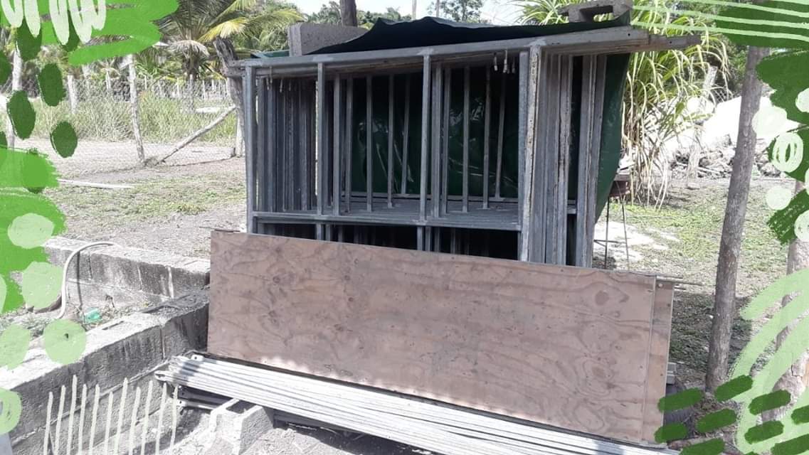 Scaffolds Innova Belize gallery 7