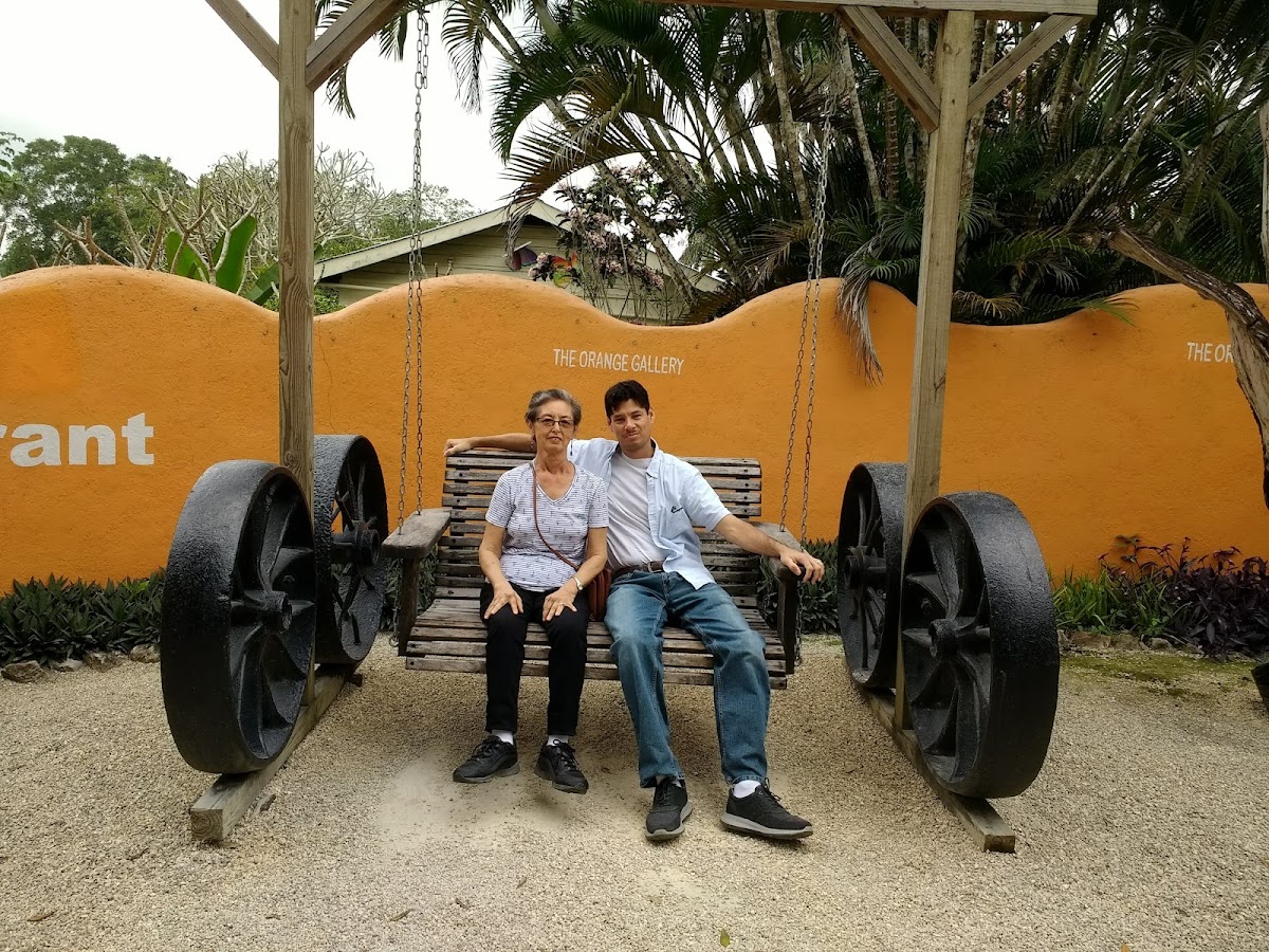 Orange Guesthouse gallery 8