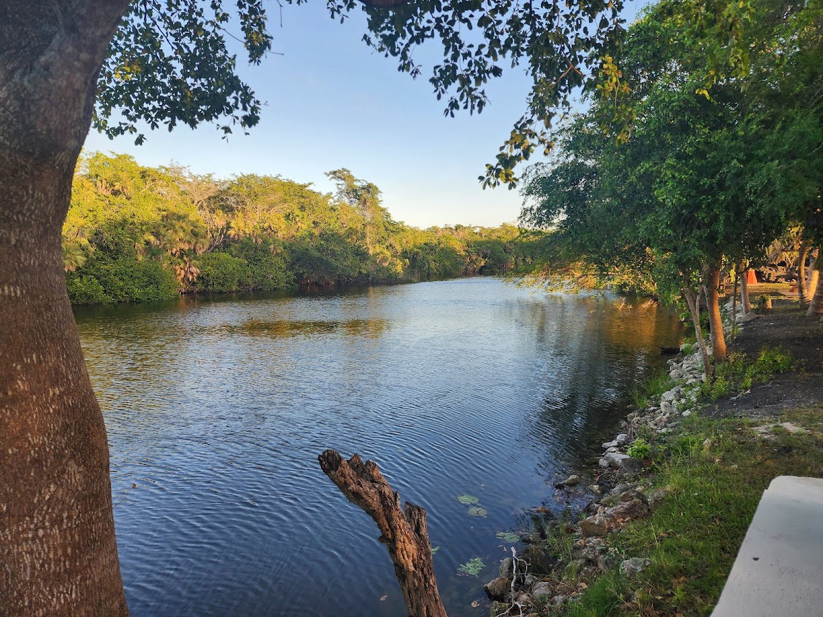 Maracas Bar & Grill gallery 6
