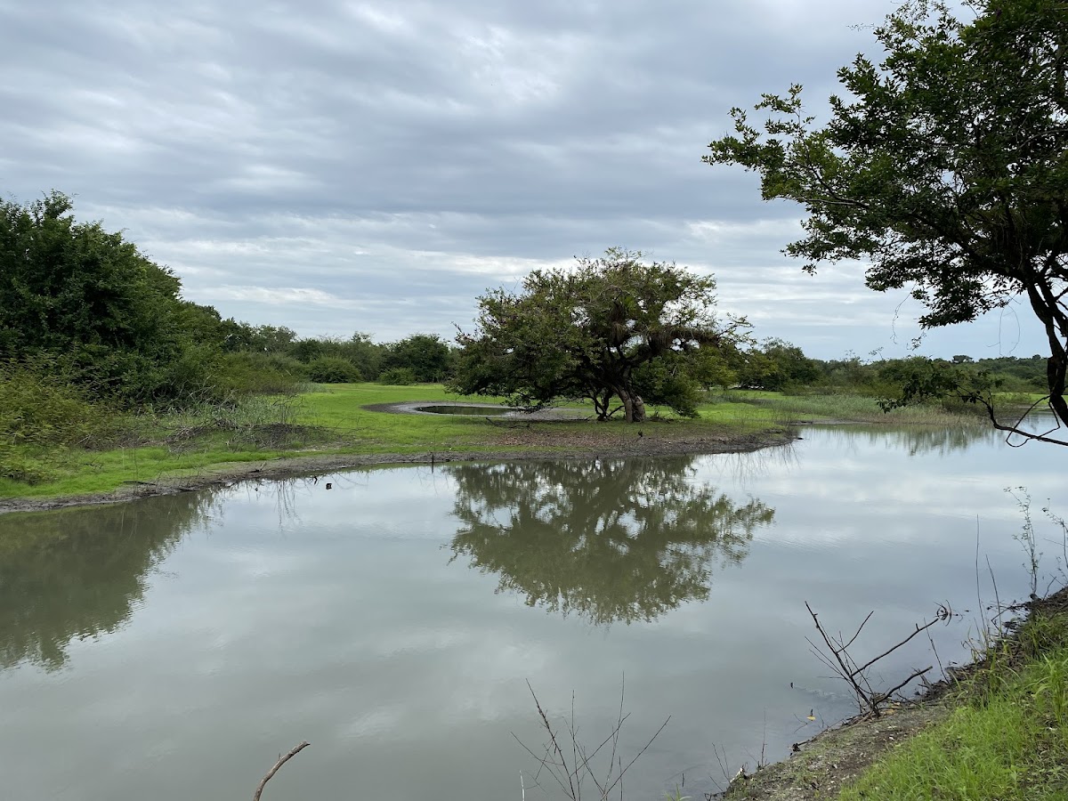Laguna Maya Lodge gallery 3