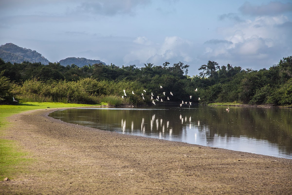 Laguna Maya Lodge gallery 5