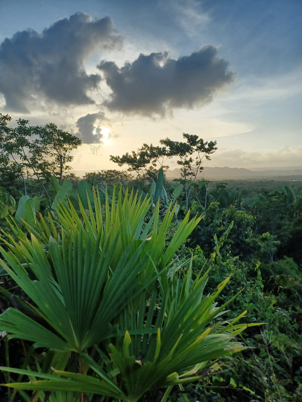 Laguna Maya Lodge gallery 7