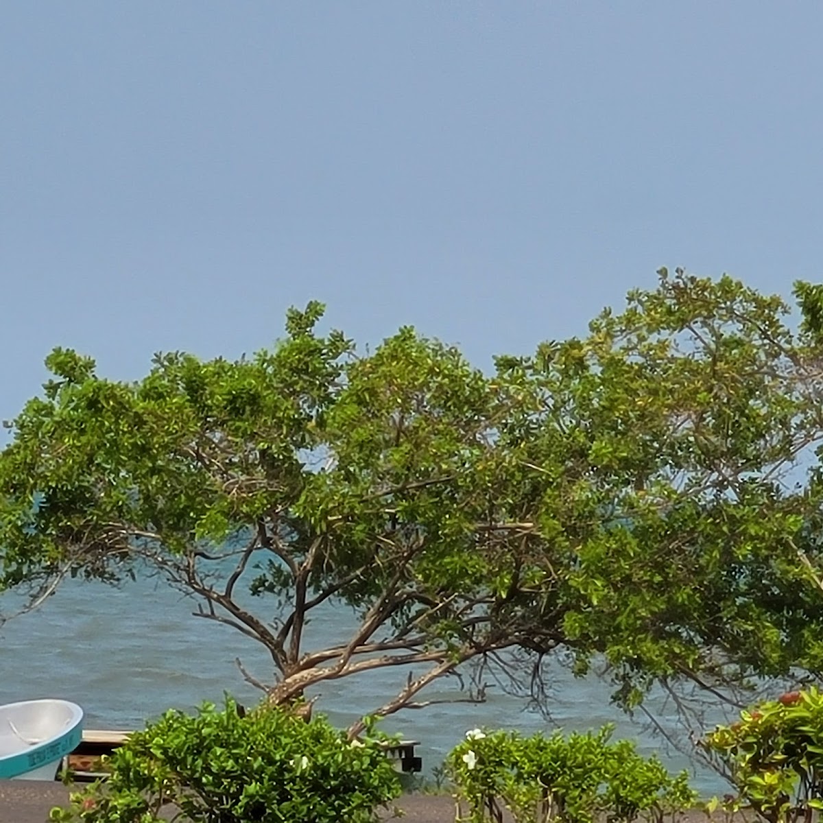 TIDE Tours gallery 2