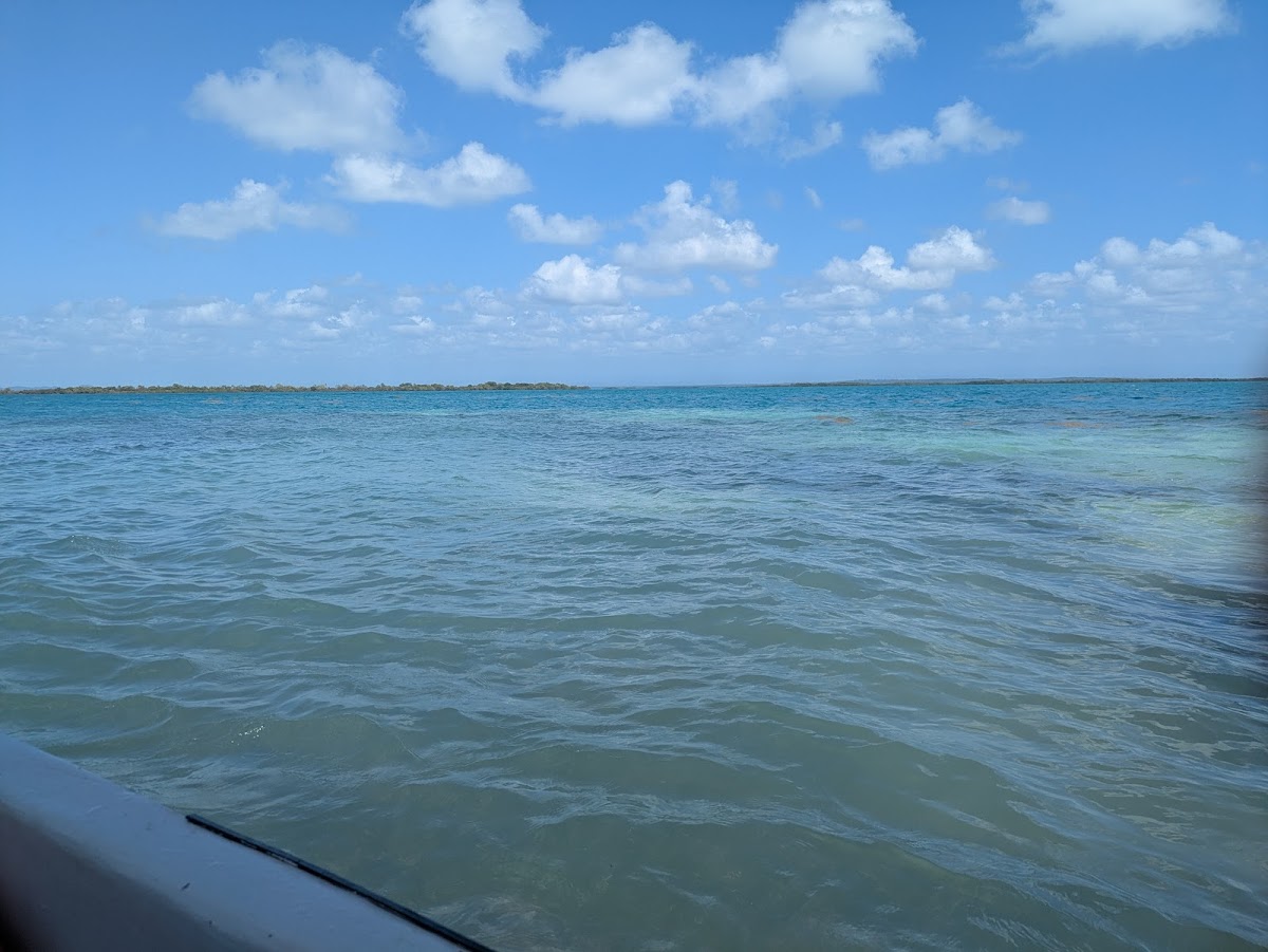 TIDE Tours gallery 4
